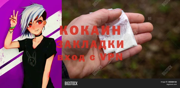 шишки Алексин