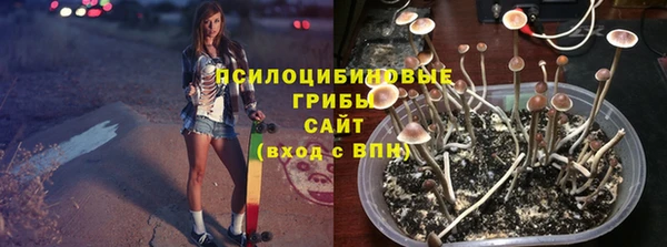 шишки Алексин